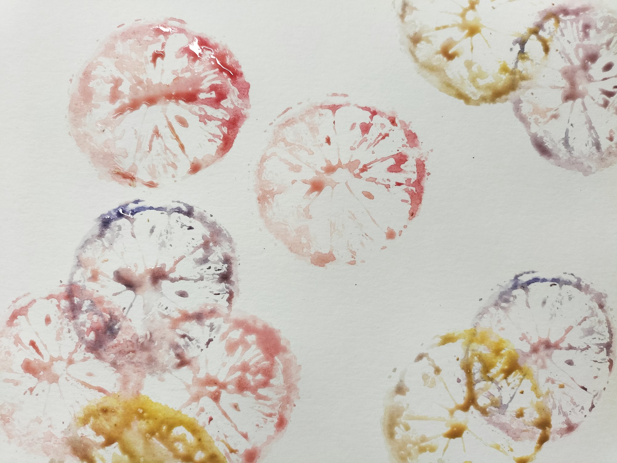Fruchtabdruck-Aquarell in Rot, Gelb und Violett auf Papier